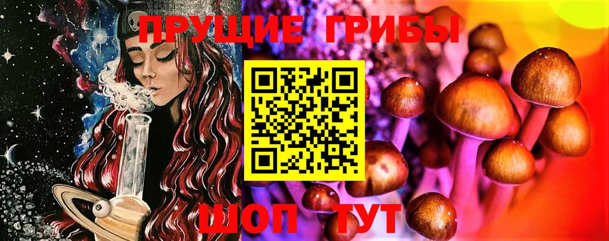 Краснотурьинск  Псилоцибиновые грибы MAGIC MUSHROOMS  Вход с VPN 